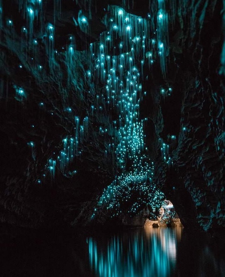 These Waitomo Glowworm Caves in New Zealand look like magic brought to life.