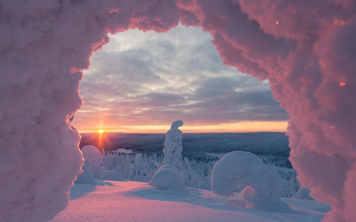 “The world turns pink during a sunset amongst snow clad trees at Riisitunturi National Park in Finland.”