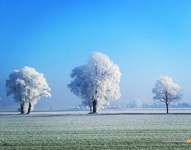 “A frost storm colored the trees white in Bavaria, Germany.”