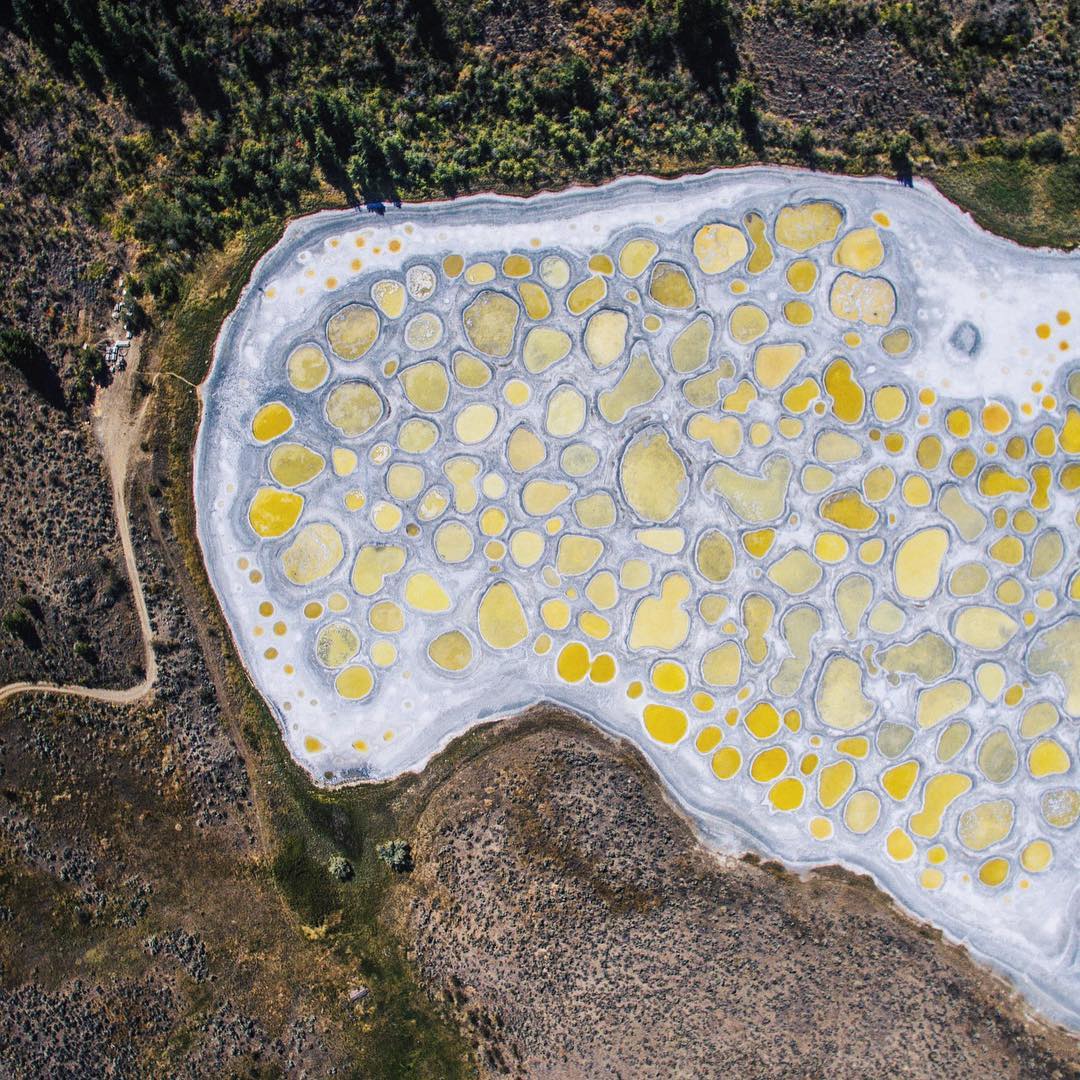 Spotted Lake in British Columbia looks like a mosaic, but it’s just nature being spectacular!