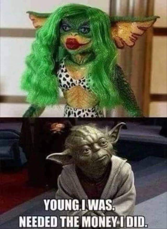 yoda star wars memes - Young. I Was Needed The Money I Did.