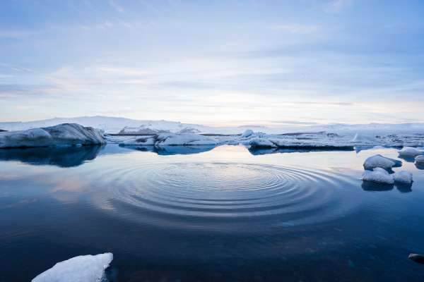 Although much of it is frozen, the Arctic is almost entirely covered in water.