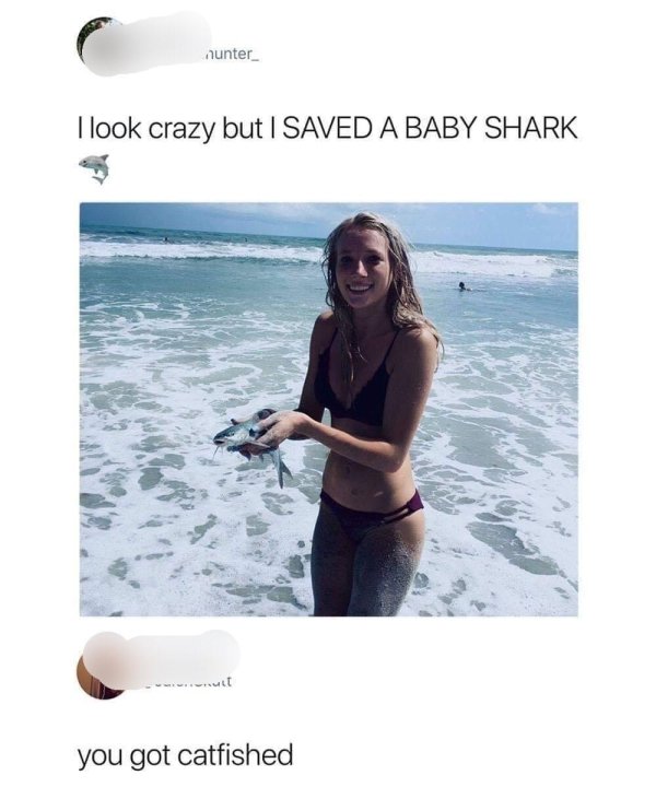 saved a baby shark - unter_ I look crazy but I Saved A Baby Shark you got catfished