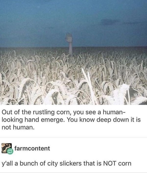 southern gothic - Out of the rustling corn, you see a human looking hand emerge. You know deep down it is not human. 2 farmcontent y'all a bunch of city slickers that is Not corn