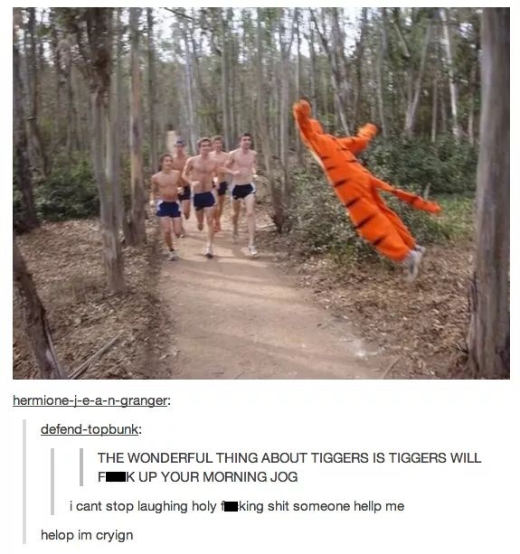 tigger funny quotes - hermioneieangranger defendtopbunk | The Wonderful Thing About Tiggers Is Tiggers Will Fk Up Your Morning Jog king shit someone hellp me i cant stop laughing holy helop im cryign