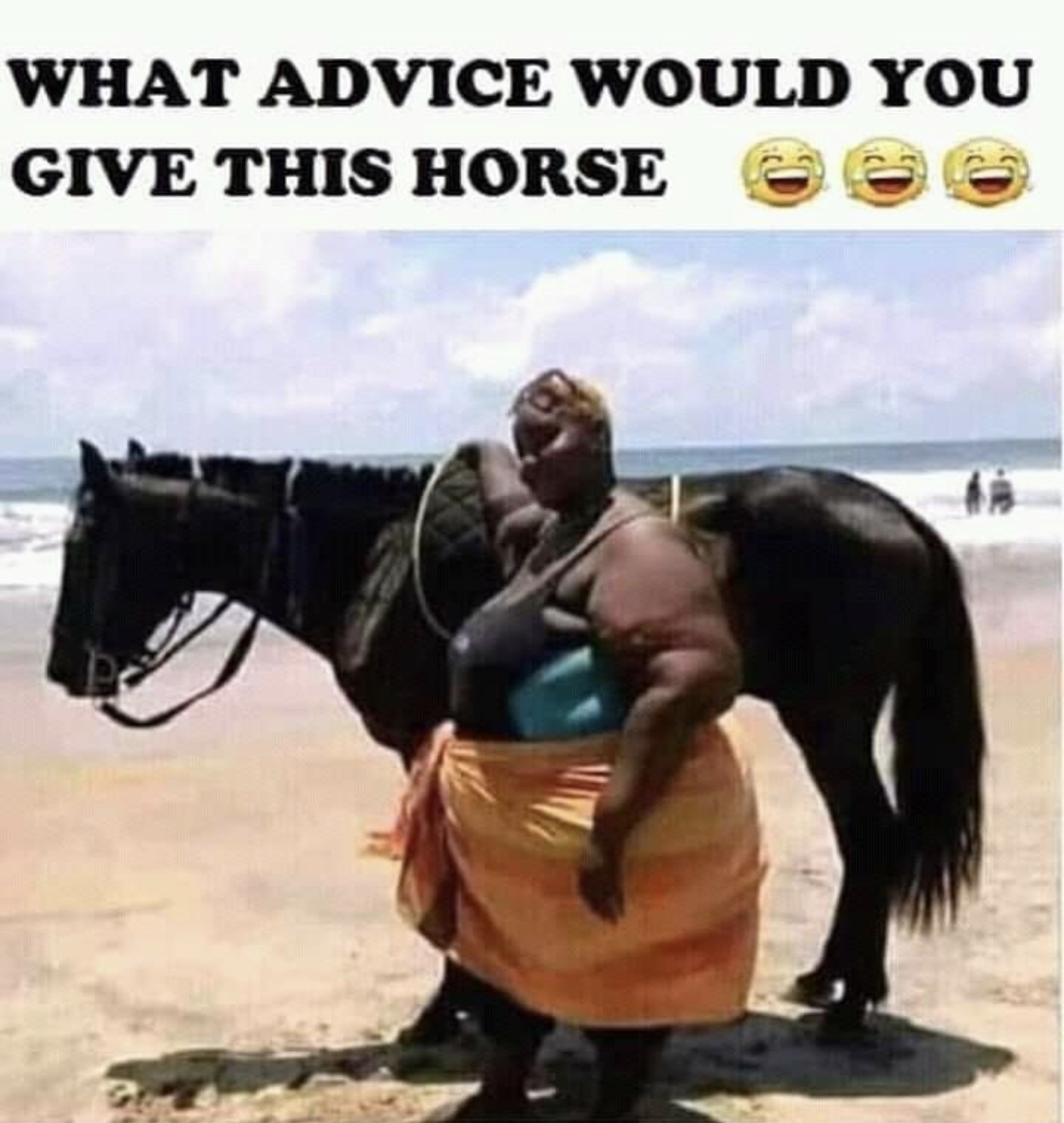 don t envy you - What Advice Would You Give This Horse @