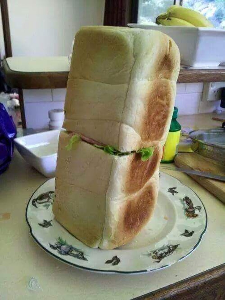 bread sandwich funny