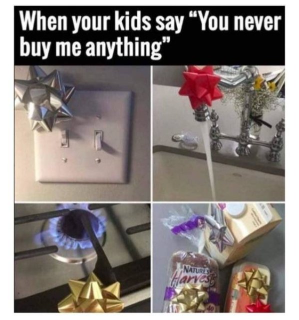 you never buy me anything meme - When your kids say You never buy me anything" Natures