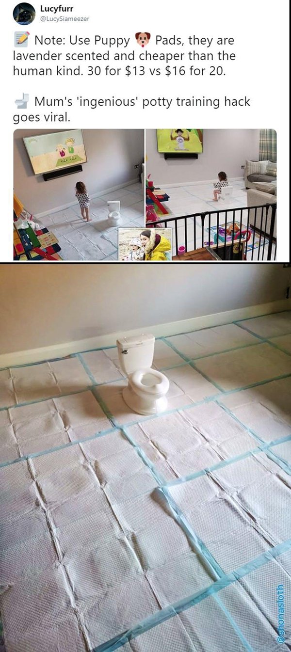 floor - Lucyfurr Note Use Puppy Pads, they are lavender scented and cheaper than the human kind. 30 for $13 vs $16 for 20. Mum's 'ingenious' potty training hack goes viral. Osnonasloth