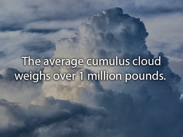 Cloud - The average cumulus cloud weighs over 1 million pounds.