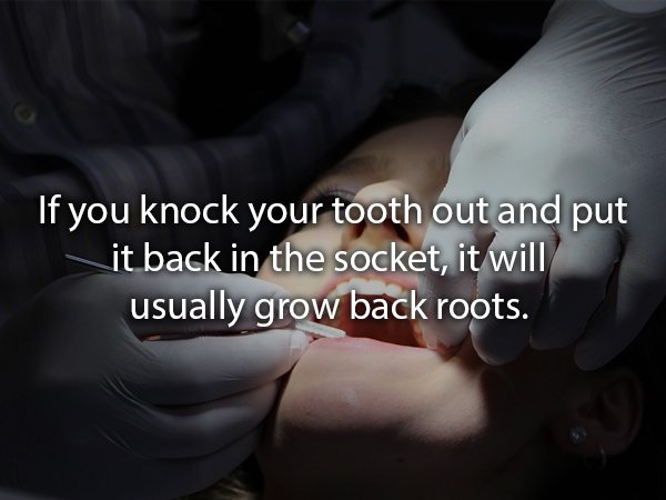 hand - 'If you knock your tooth out and put it back in the socket, it will usually grow back roots.