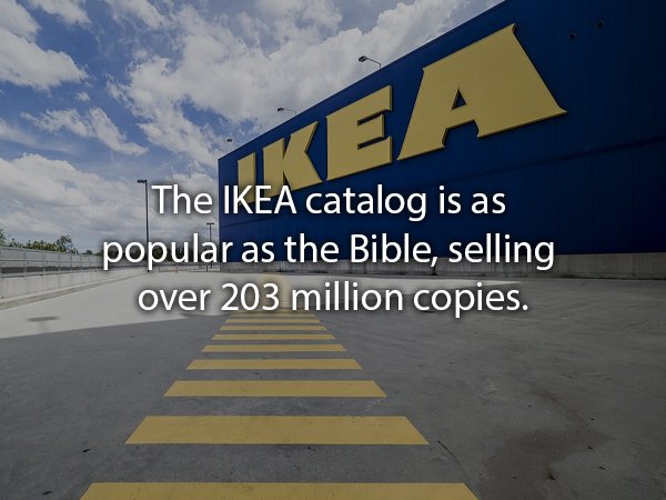 IKEA - The Ikea catalog is as catat popular as the Bible, selling over 203 million copies.
