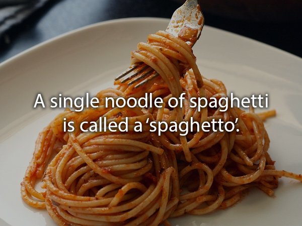 spaghet food - A single noodle of spaghetti is called a spaghetto'.