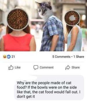 missed  - distracted boyfriend meme cat - 21 5 1 Comment Why are the people made of cat food? If the bowls were on the side that, the cat food would fall out. I don't get it