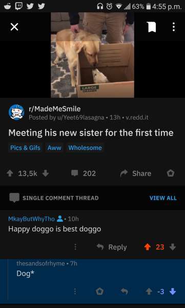 missed  - screenshot - 163% p.m. rMadeMeSmile Posted by uYeet69lasagna. 13h. Vredd.it Meeting his new sister for the first time Pics & Gifs Aww Wholesome | 1 | 202 Single Comment Thread View All MkayBut WhyTho. 10h Happy doggo is best doggo 23 thandsofrhy
