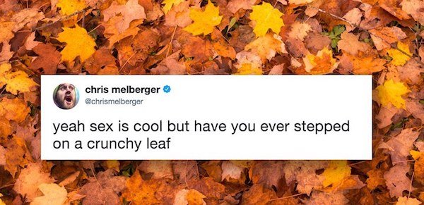 yeah sex is cool but meme - chris melberger chrismelberger yeah sex is cool but have you ever stepped on a crunchy leaf