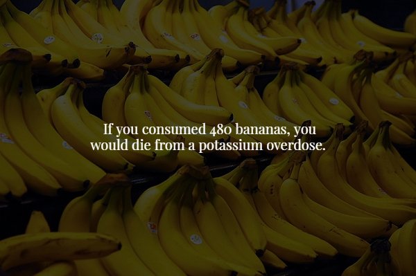 If you consumed 480 bananas, you would die from a potassium overdose.