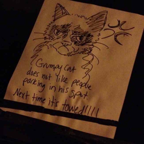 windshield notes funny - ? Grumpy Cat does not people parking in his spot. Next time it's towed all