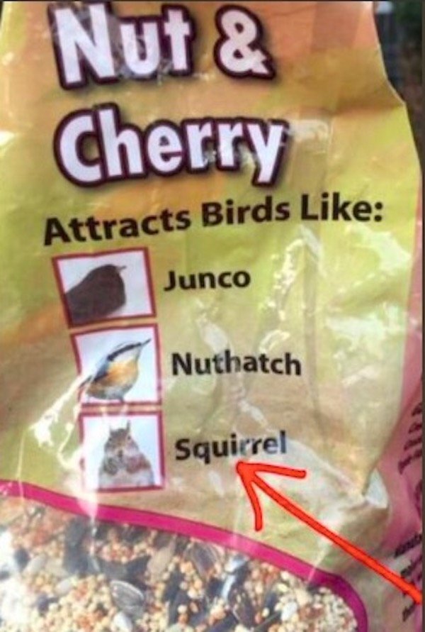 fail nut and cherry attracts birds like - Nut & Cherry Attracts Birds Junco Junco Nuthatch Squirrel