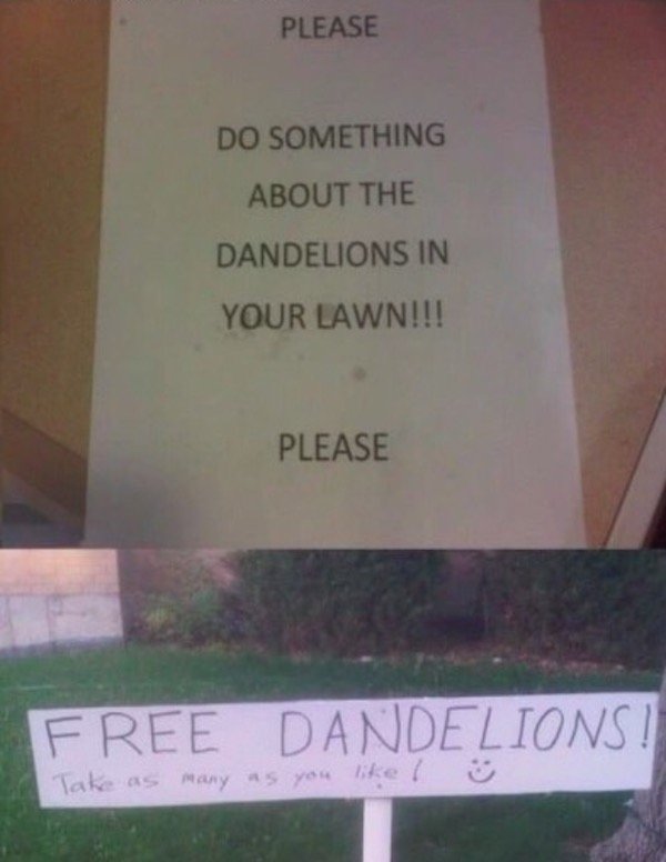 fail headstone - Please Do Something About The Dandelions In Your Lawn!!! Please Free Dandelions! Take as many as you !