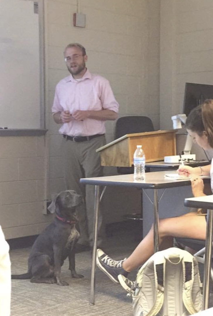 professor brings dog to class - kwa