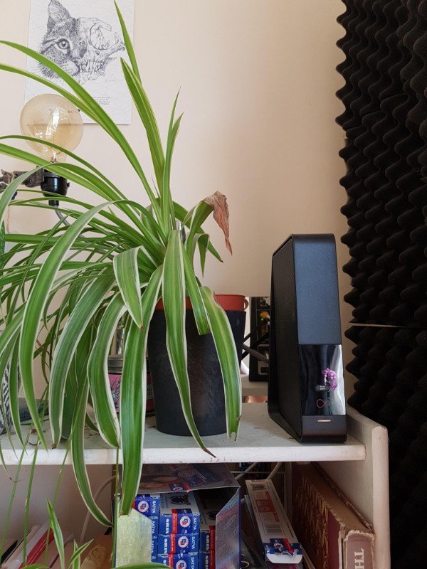 This plant wont grow next to the wifi modem.