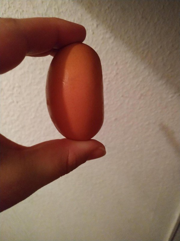 Elongated egg.