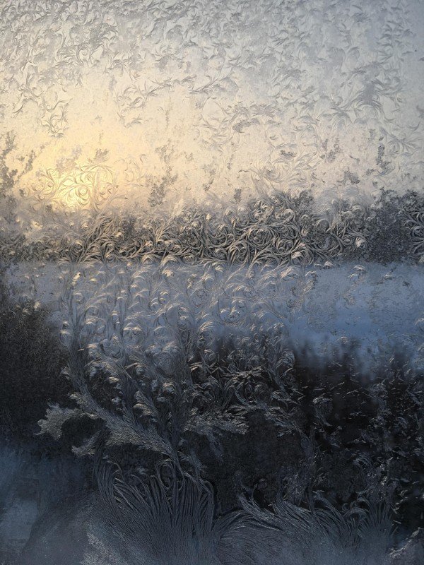Neat frost on a window.
