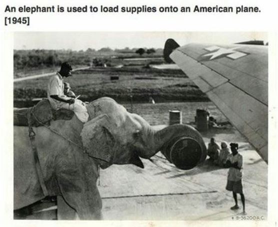 18 historical pictures showing unusual stuff from the past.