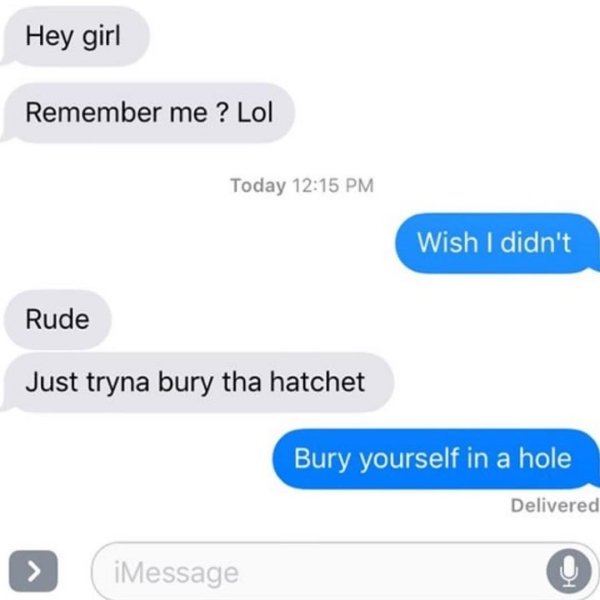 crazy ex texts from exes - Hey girl Remember me? Lol Today Wish I didn't Rude Just tryna bury tha hatchet Bury yourself in a hole Delivered iMessage