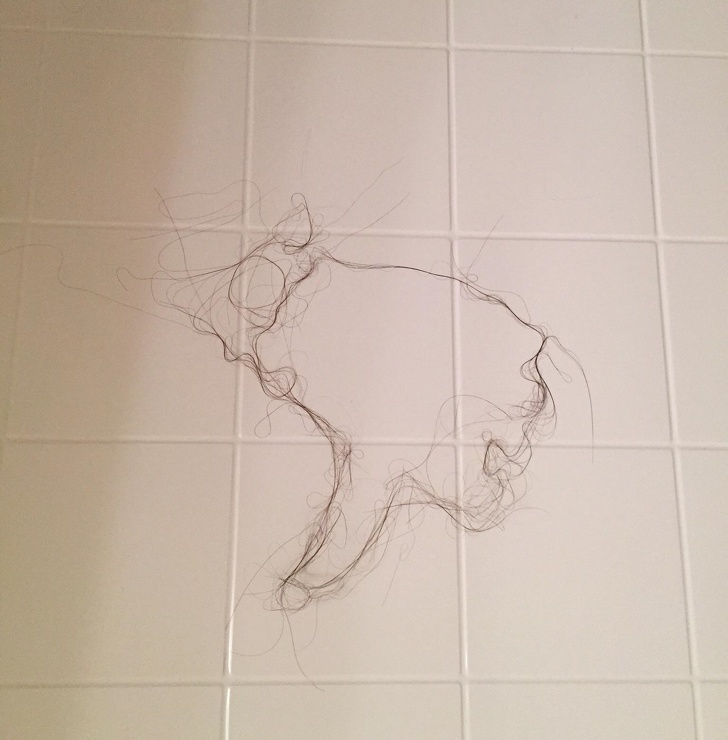 This is how this guy's wife leaves her hair in the shower.