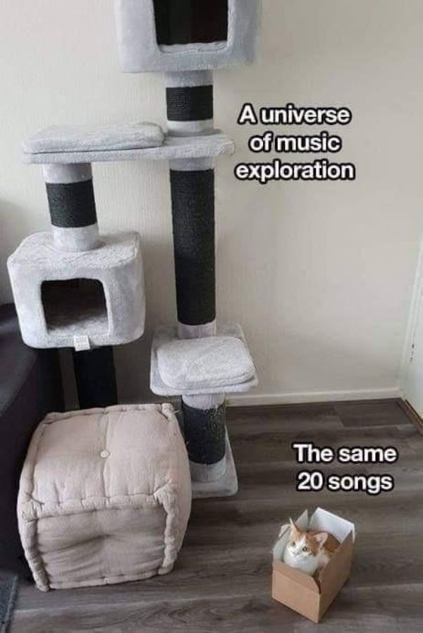 relatable meme about always listening to the same music represented by a cat sitting in a box rather than a cat tree