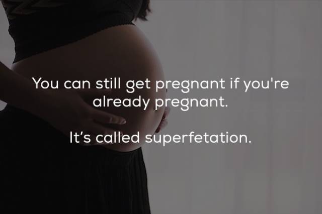 shoulder - You can still get pregnant if you're already pregnant. It's called superfetation.