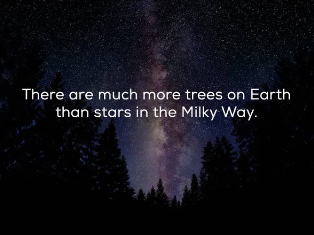 milky way galaxy - There are much more trees on Earth than stars in the Milky Way.