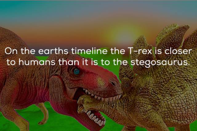 extinction - On the earths timeline the Trex is closer to humans than it is to the stegosaurus.