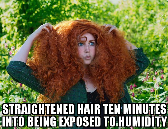 humidity and curly hair meme - Straightened Hair Ten Minutes Into Being Exposed To Humidity