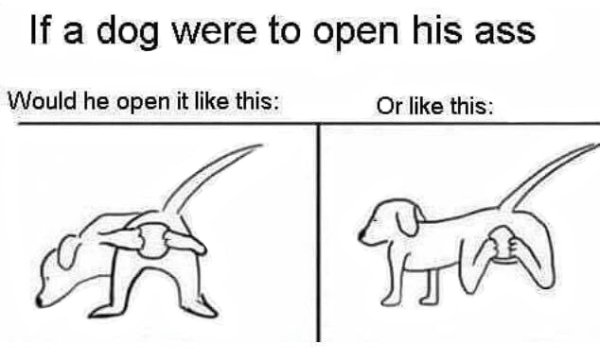 if a dog opened its asshole - If a dog were to open his ass Would he open it this Or this