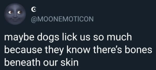 maybe dogs lick us so much because they know there's bones beneath our skin