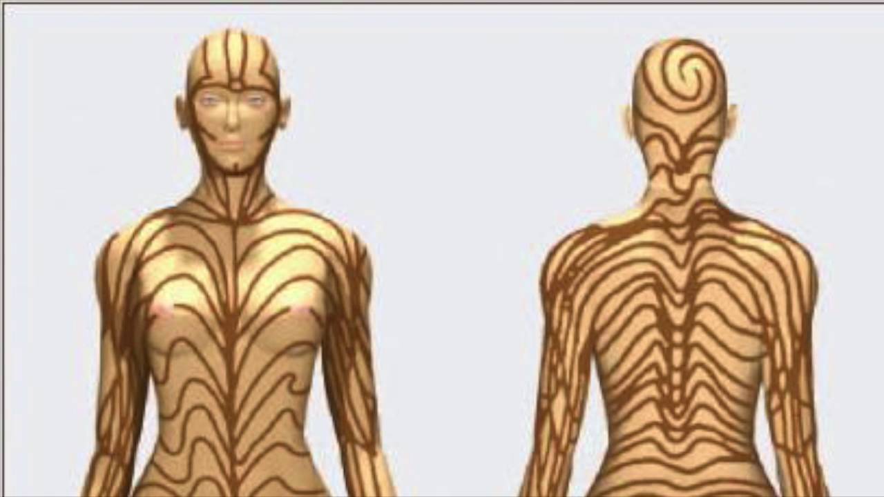 stripes on human skin