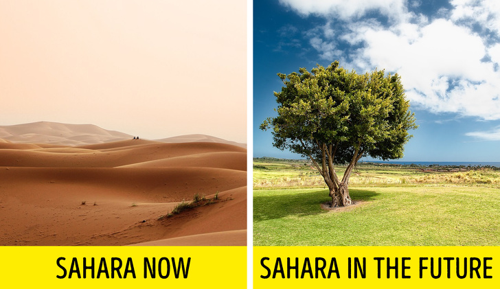 environmental nature - Sahara Now Sahara In The Future