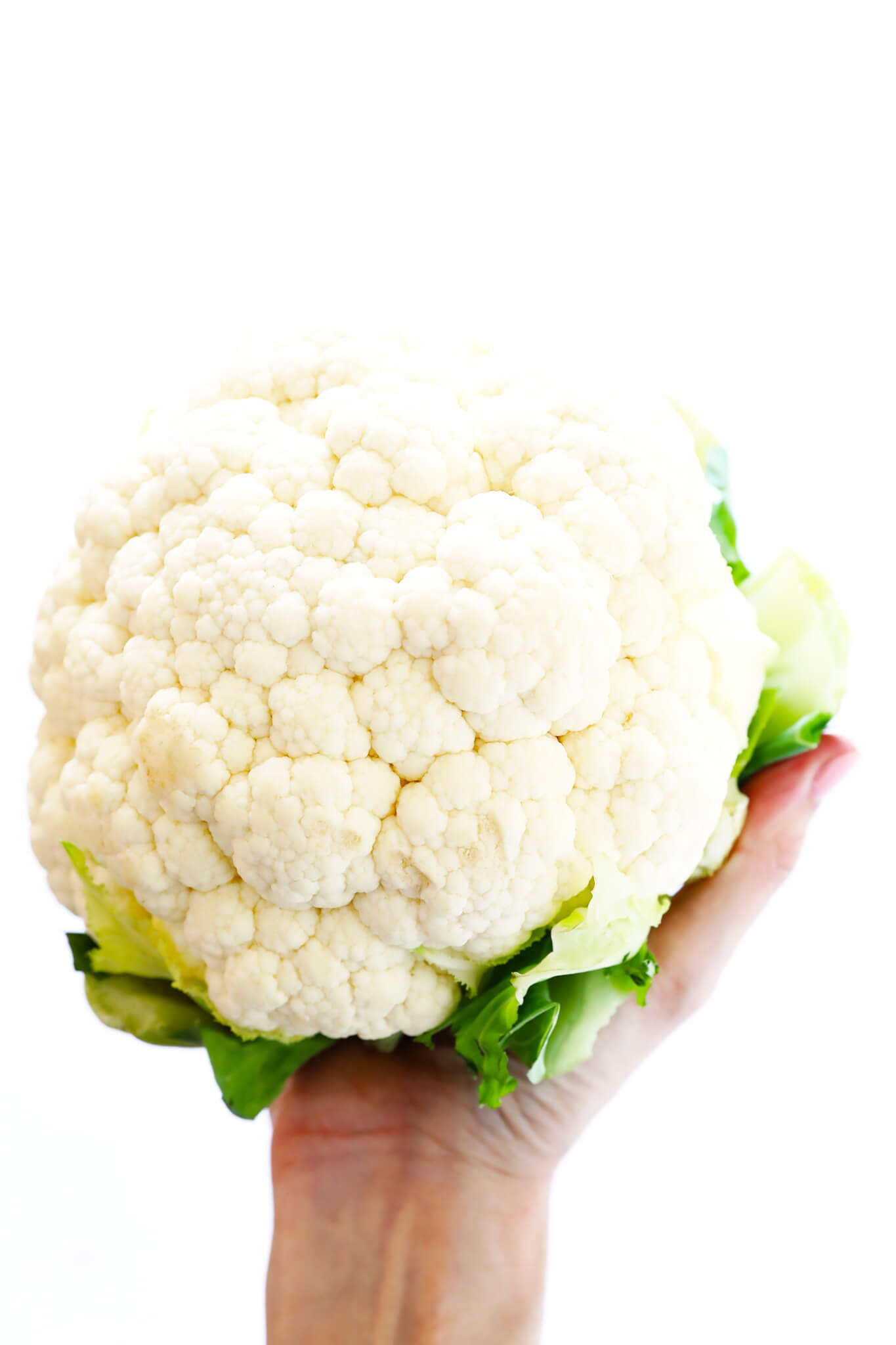 head of cauliflower