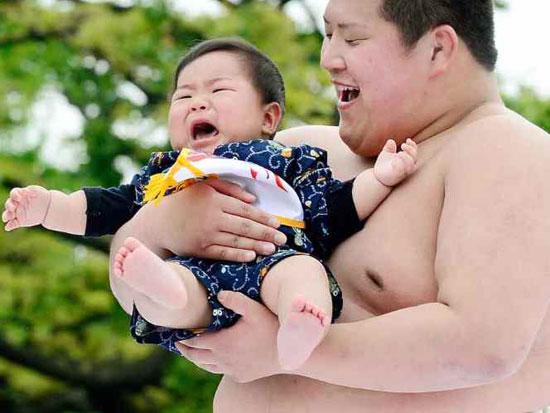 sumo wrestlers babies - .