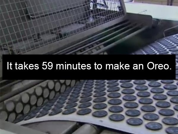 mesh - 'It takes 59 minutes to make an Oreo. Jo