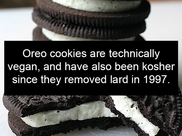 oreo - Oreo cookies are technically vegan, and have also been kosher since they removed lard in 1997.