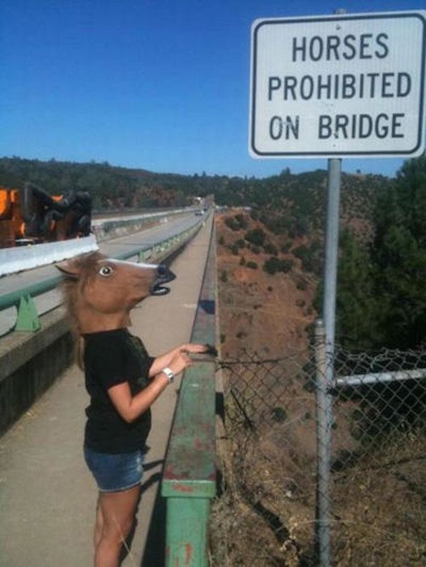 people not following rules - Horses Prohibited On Bridge