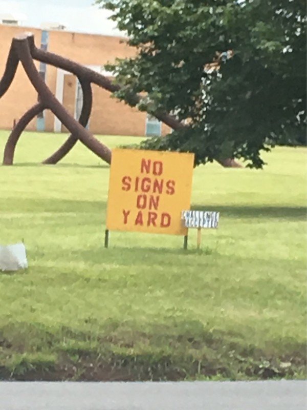 grass - No Signs On Yard Winte