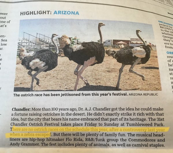 ostrich - Highlight Arizona wer out one of at's Onlinwoman , Sy to the Whemic George en Sea low they'v ers to from Ore resc of he na The ostrich race has been jettisoned from this year's festival. Arizona Republic Chandler More than 100 years ago, Dr. A.J