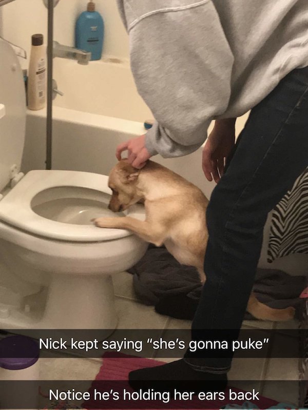 nick kept saying shes gonna puke - Nick kept saying "she's gonna puke" Notice he's holding her ears back