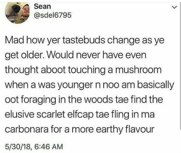 tweet - white bear bandersnatch - Sean Mad how yer tastebuds change as ye get older. Would never have even thought aboot touching a mushroom when a was younger n noo am basically oot foraging in the woods tae find the elusive scarlet elfcap tae fling in m