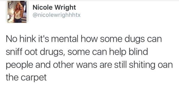 tweet - funny tweets - Nicole Wright No hink it's mental how some dugs can sniff oot drugs, some can help blind people and other wans are still shiting oan the carpet